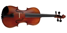 Violin H7-1