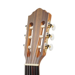 Classic series HF13 "Senorita"