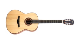 Master Steelstring HA-MS5