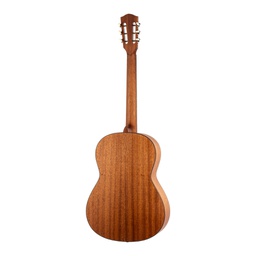 Master Steelstring HA-MS5