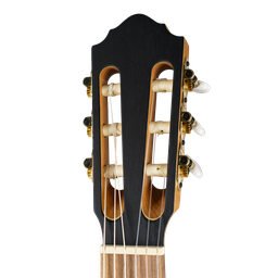 HLE-AF23 Alpenfichte / Bergahorn