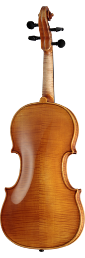Hofner Violin Outfit - H215 "Guadagnini" -1
